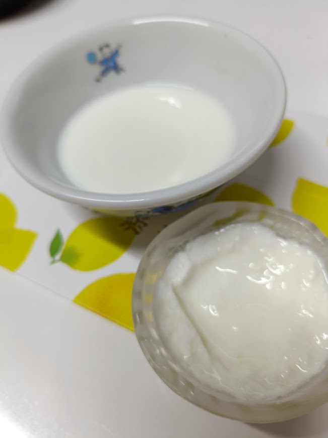 2つの器。一つは滑らかで、ひとつはボコボコしてるカスピ海ヨーグルト